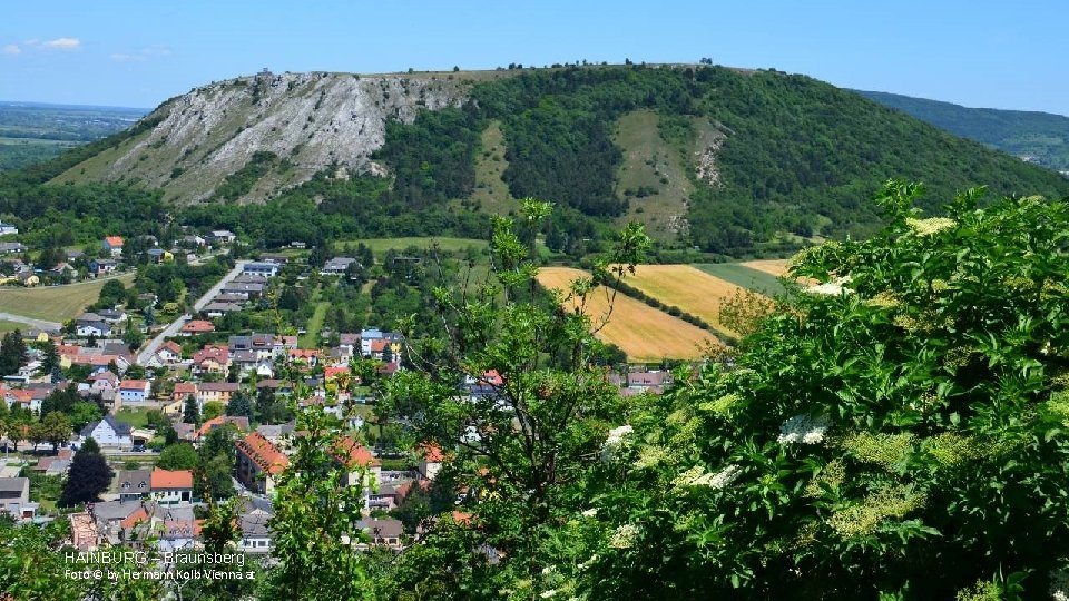 HAINBURG – Braunsberg Foto © by Hermann Kolb Vienna. at 