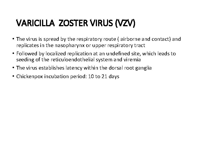 VARICILLA ZOSTER VIRUS (VZV) • The virus is spread by the respiratory route (