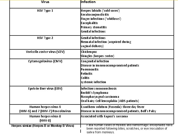 Virus Infection HSV Type 1 Herpes labialis ('cold sores') Keratoconjunctivitis Finger infections ('whitlows') Encephalitis