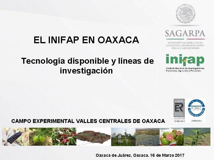 EL INIFAP EN OAXACA Tecnología disponible y líneas de investigación CAMPO EXPERIMENTAL VALLES CENTRALES