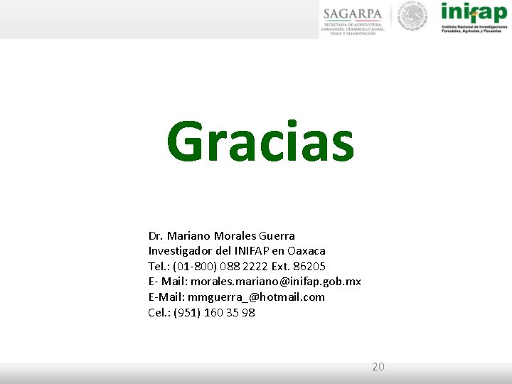 Gracias Dr. Mariano Morales Guerra Investigador del INIFAP en Oaxaca Tel. : (01 -800)