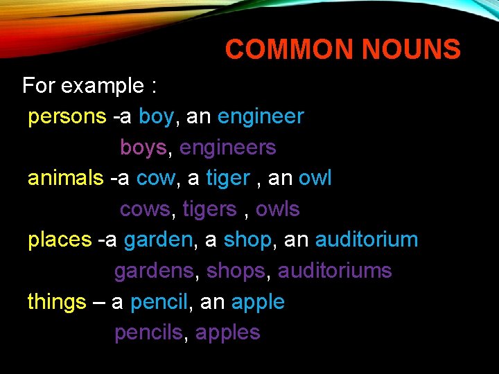 COMMON NOUNS For example : persons -a boy, an engineer boys, engineers animals -a