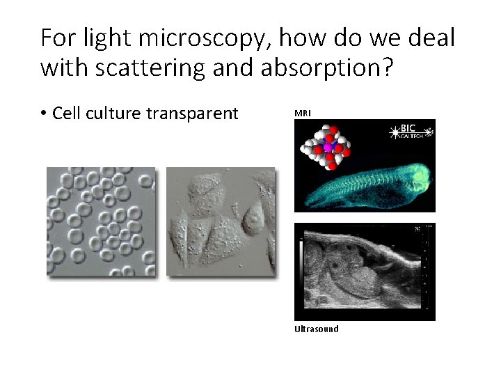 For light microscopy, how do we deal with scattering and absorption? • Cell culture