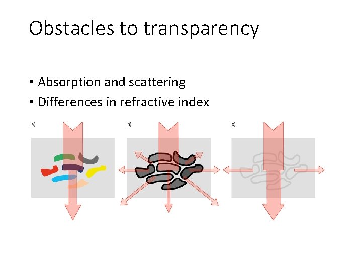 Obstacles to transparency • Absorption and scattering • Differences in refractive index 