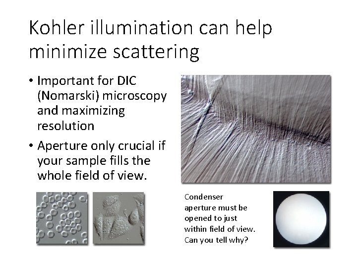 Kohler illumination can help minimize scattering • Important for DIC (Nomarski) microscopy and maximizing