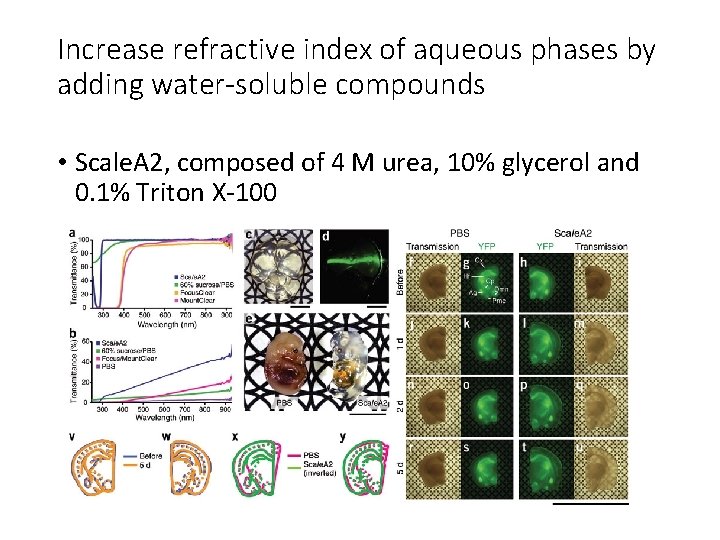 Increase refractive index of aqueous phases by adding water-soluble compounds • Scale. A 2,