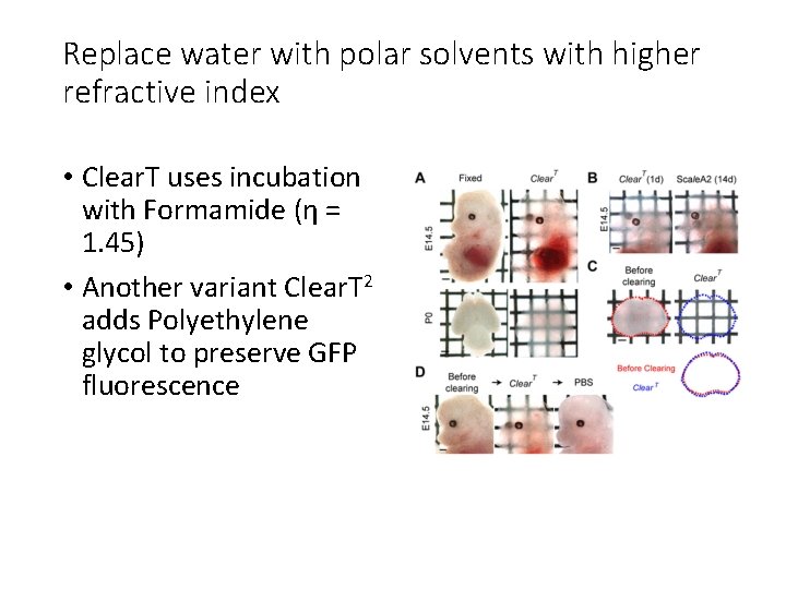 Replace water with polar solvents with higher refractive index • Clear. T uses incubation