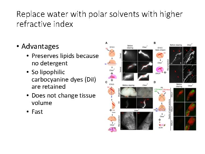 Replace water with polar solvents with higher refractive index • Advantages • Preserves lipids