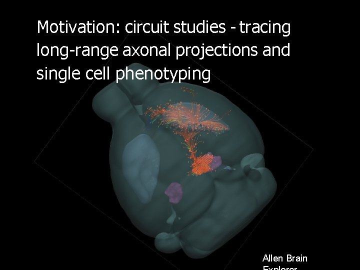 Motivation: circuit studies - tracing long-range axonal projections and single cell phenotyping Allen Brain