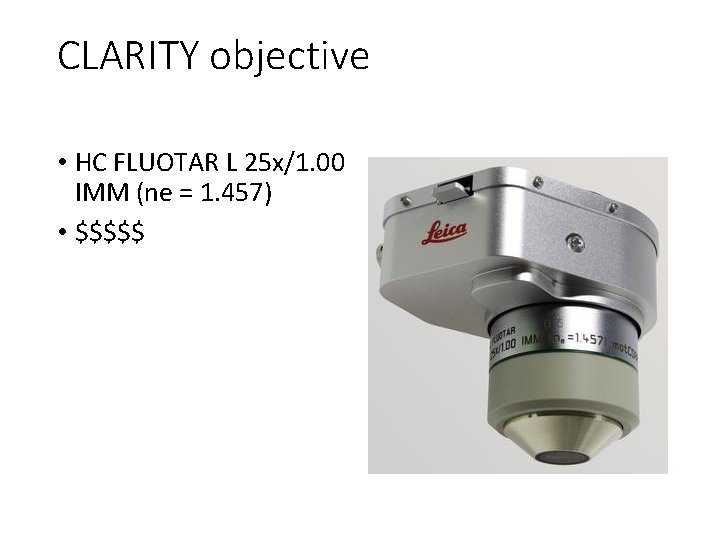 CLARITY objective • HC FLUOTAR L 25 x/1. 00 IMM (ne = 1. 457)