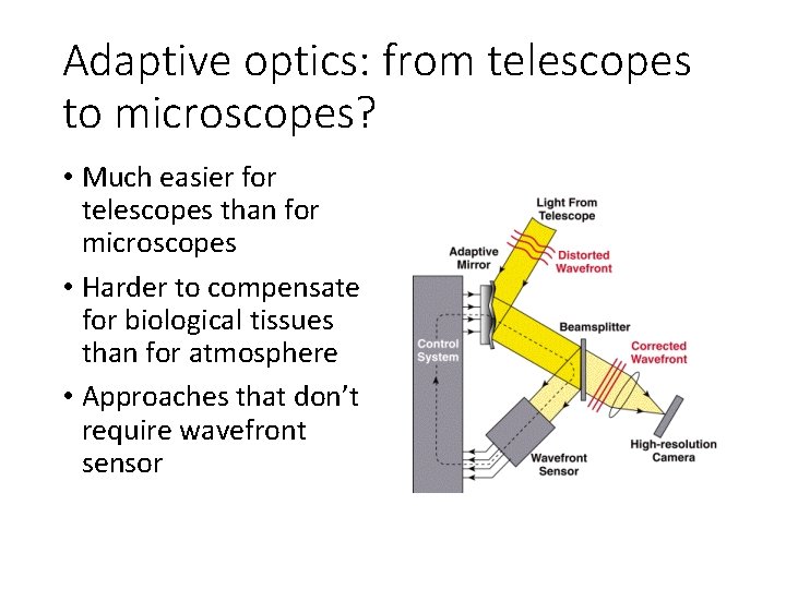 Adaptive optics: from telescopes to microscopes? • Much easier for telescopes than for microscopes