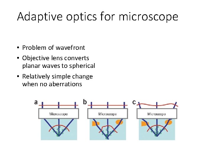 Adaptive optics for microscope • Problem of wavefront • Objective lens converts planar waves