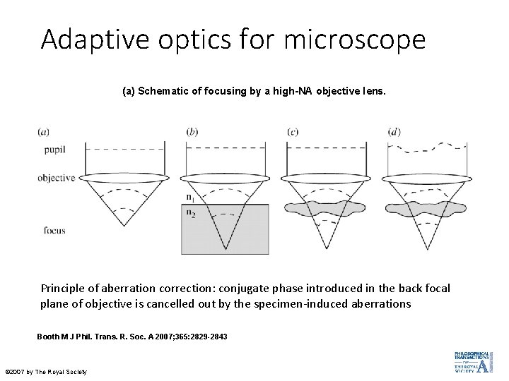 Adaptive optics for microscope (a) Schematic of focusing by a high-NA objective lens. Principle