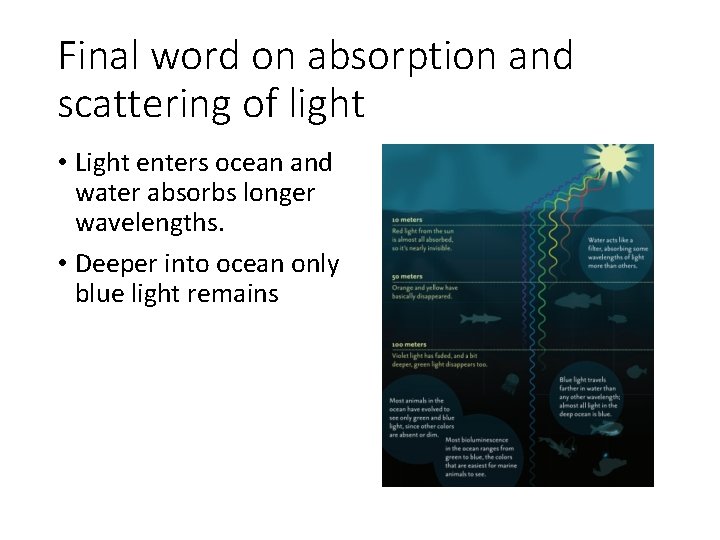 Final word on absorption and scattering of light • Light enters ocean and water