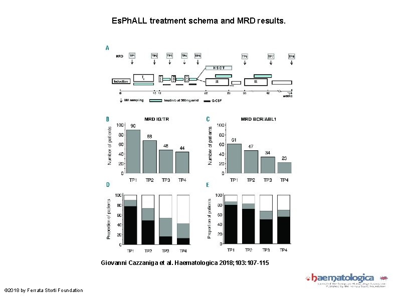 Es. Ph. ALL treatment schema and MRD results. Giovanni Cazzaniga et al. Haematologica 2018;