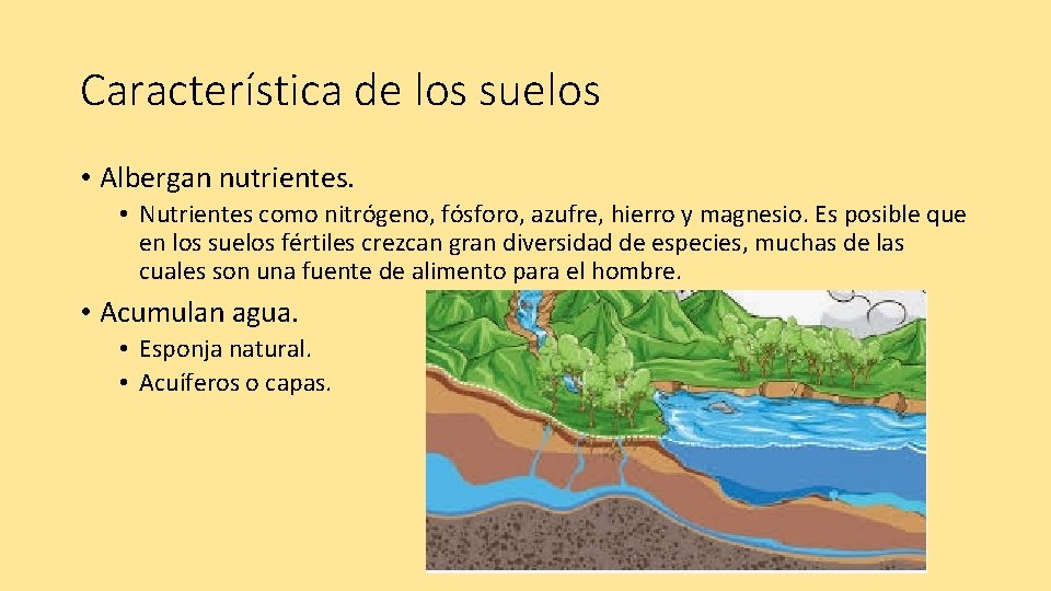 Característica de los suelos • Albergan nutrientes. • Nutrientes como nitrógeno, fósforo, azufre, hierro