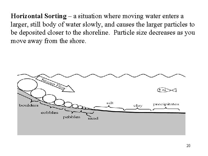 Horizontal Sorting – a situation where moving water enters a larger, still body of