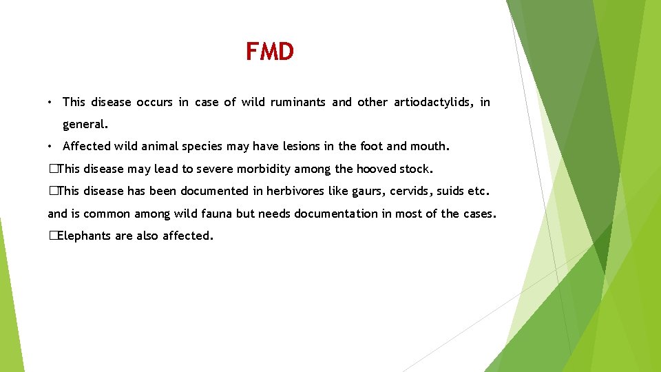 FMD • This disease occurs in case of wild ruminants and other artiodactylids, in