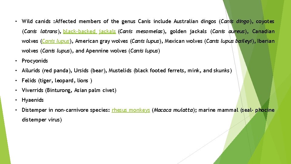  • Wild canids : Affected members of the genus Canis include Australian dingos