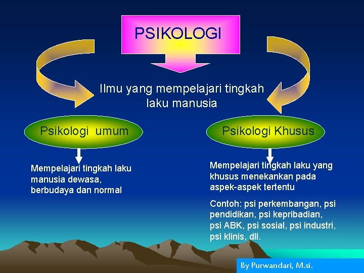 PSIKOLOGI Ilmu yang mempelajari tingkah laku manusia Psikologi umum Mempelajari tingkah laku manusia dewasa,