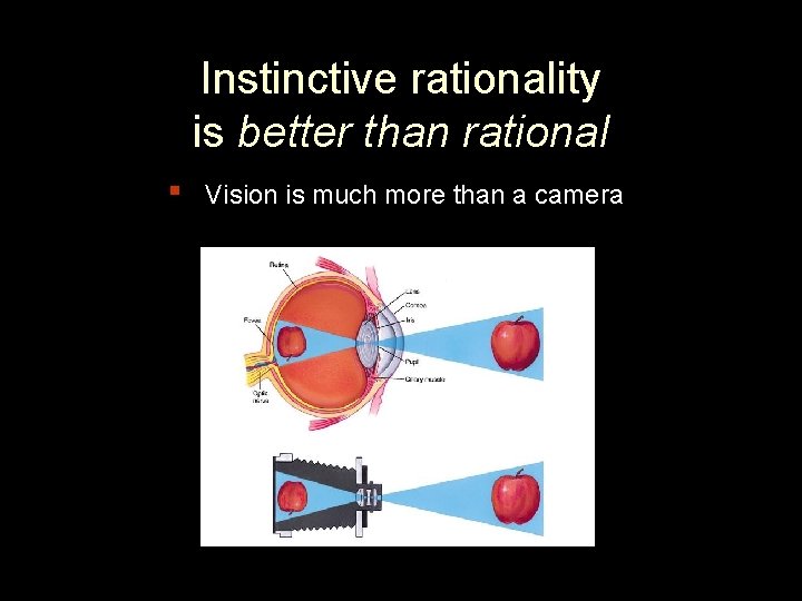 Instinctive rationality is better than rational ▪ Vision is much more than a camera