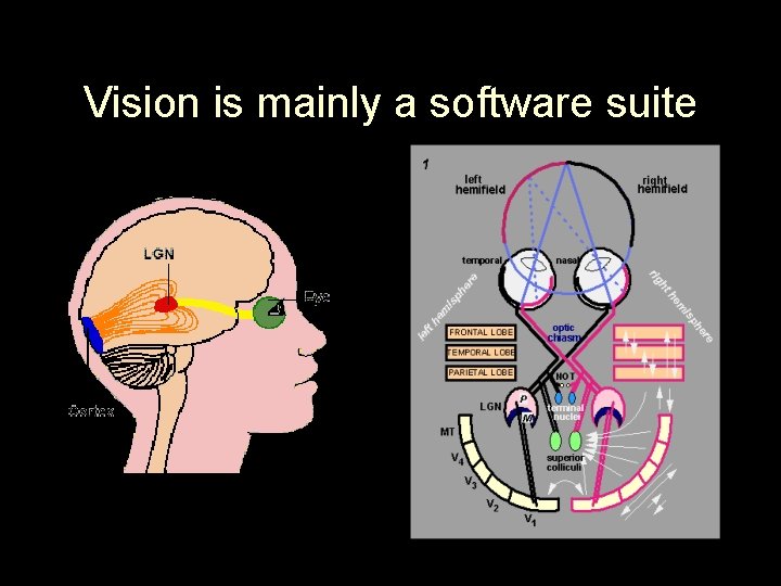 Vision is mainly a software suite 