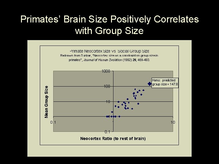 Primates’ Brain Size Positively Correlates with Group Size 