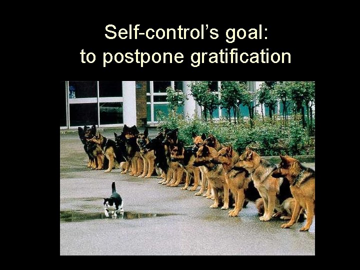 Self-control’s goal: to postpone gratification 