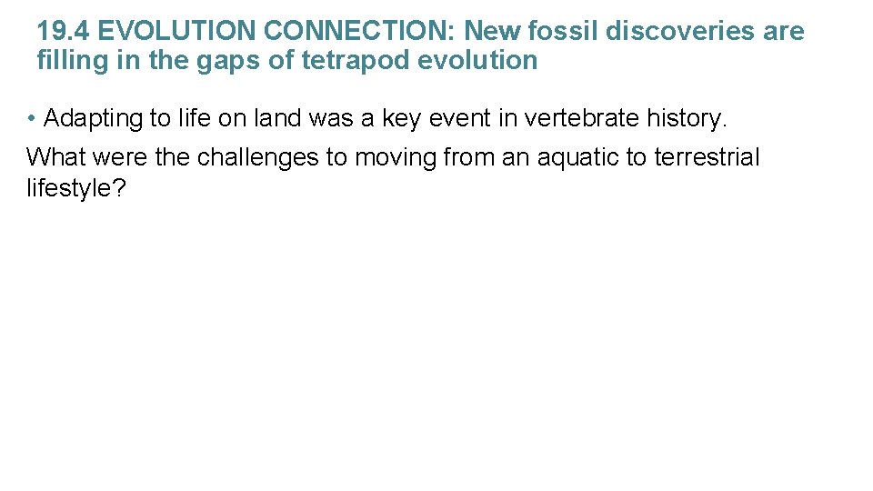 19. 4 EVOLUTION CONNECTION: New fossil discoveries are filling in the gaps of tetrapod