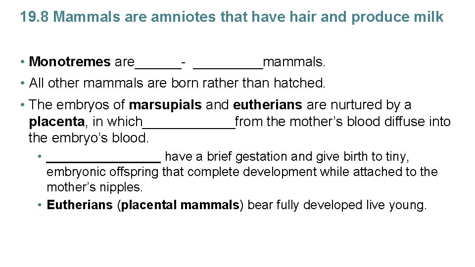 19. 8 Mammals are amniotes that have hair and produce milk • Monotremes are______-