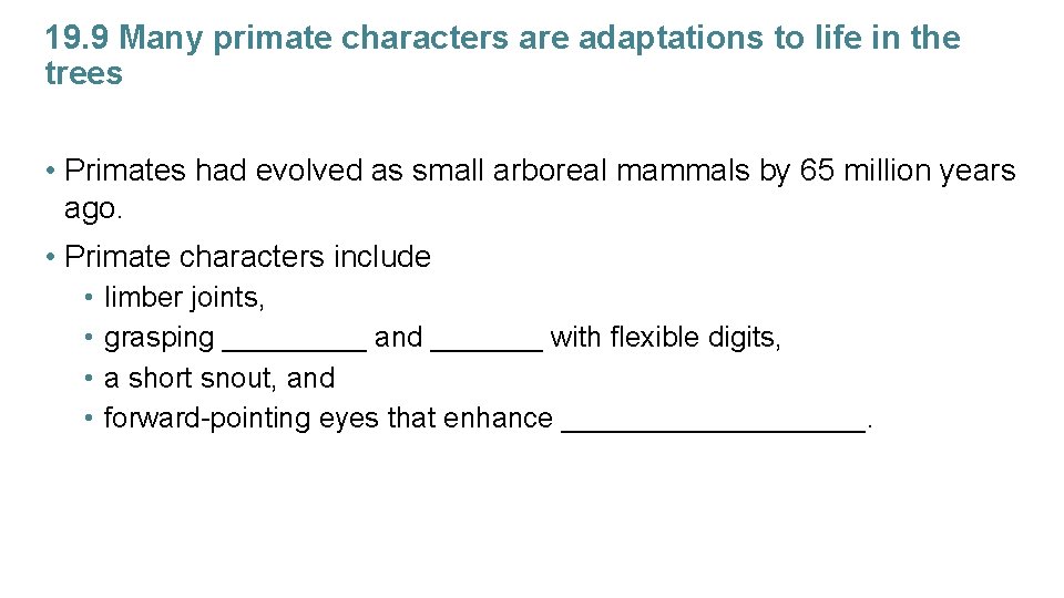 19. 9 Many primate characters are adaptations to life in the trees • Primates