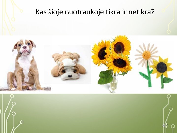 Kas šioje nuotraukoje tikra ir netikra? 