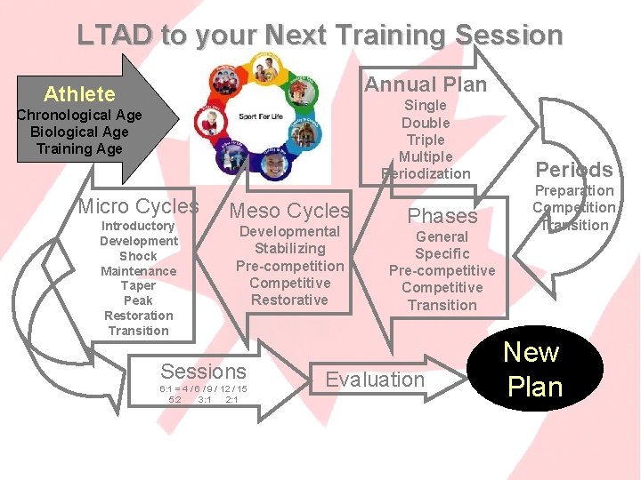 LTAD to your Next Training Session Annual Plan Athlete Single Double Triple Multiple Periodization