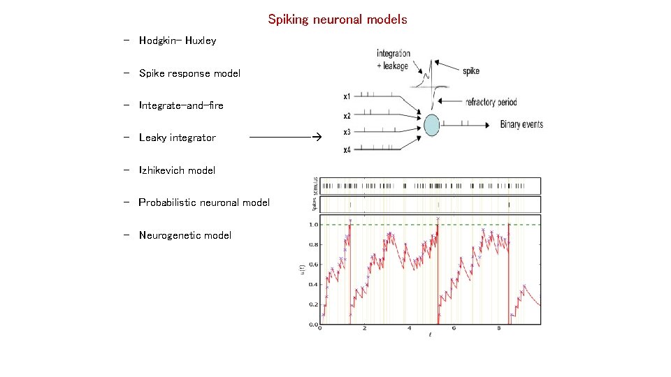 Spiking neuronal models – Hodgkin- Huxley – Spike response model – Integrate-and-fire – Leaky