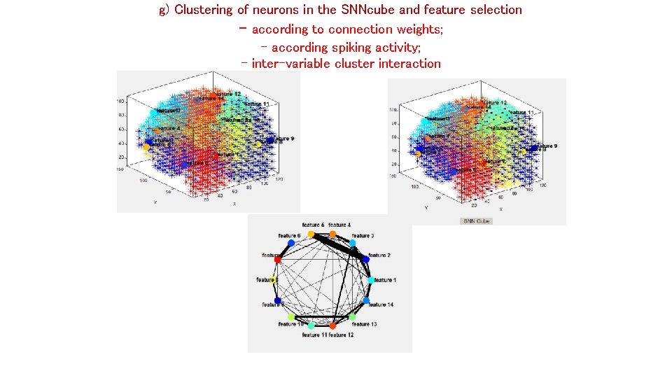 g) Clustering of neurons in the SNNcube and feature selection - according to connection