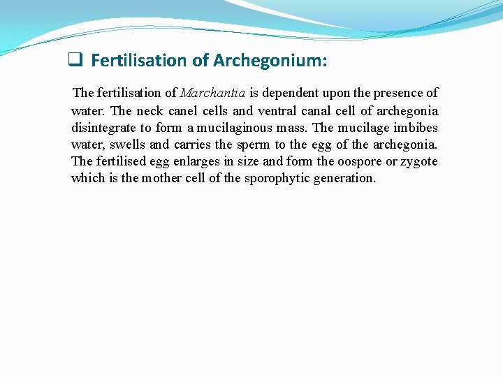 q Fertilisation of Archegonium: The fertilisation of Marchantia is dependent upon the presence of