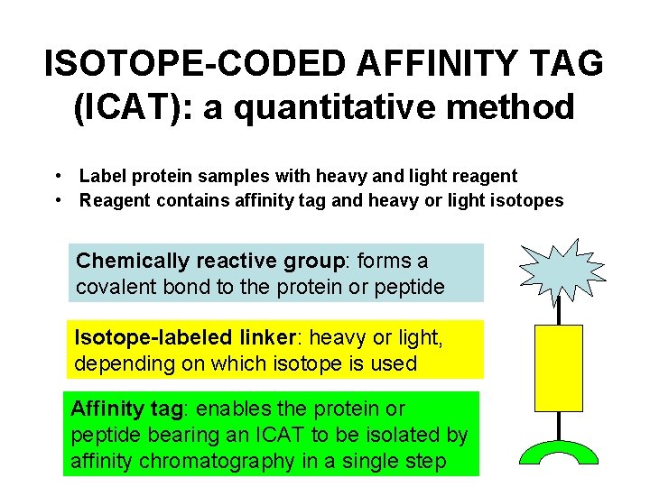ISOTOPE-CODED AFFINITY TAG (ICAT): a quantitative method • Label protein samples with heavy and