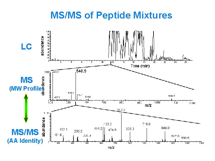 MS/MS of Peptide Mixtures LC MS (MW Profile) MS/MS (AA Identity) 