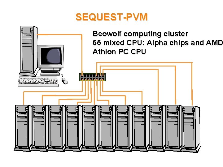 SEQUEST-PVM Beowolf computing cluster 55 mixed CPU: Alpha chips and AMD Athlon PC CPU