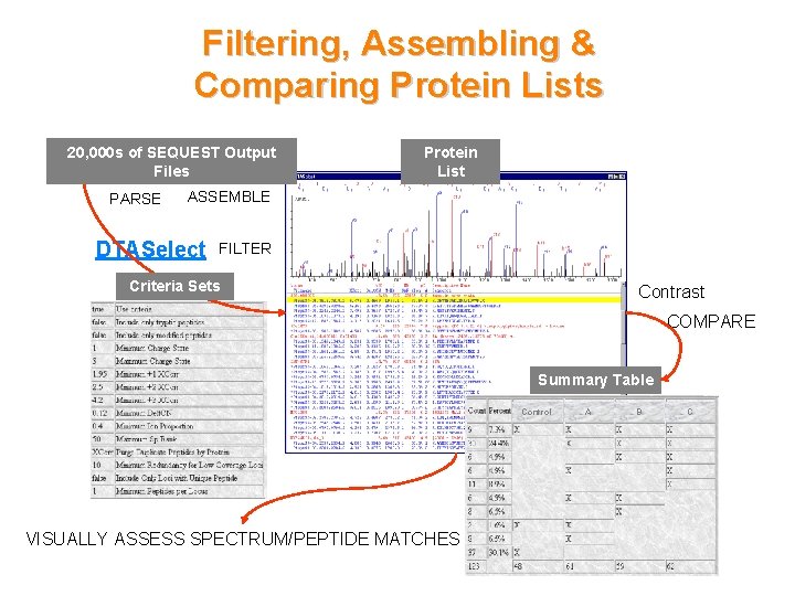 Filtering, Assembling & Comparing Protein Lists 20, 000 s of SEQUEST Output Files PARSE