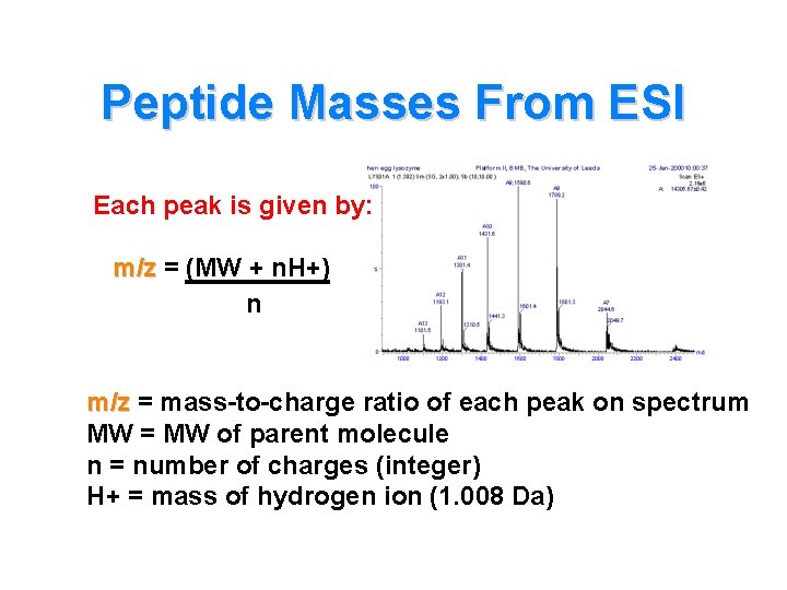 Peptide Masses From ESI Each peak is given by: m/z = (MW + n.