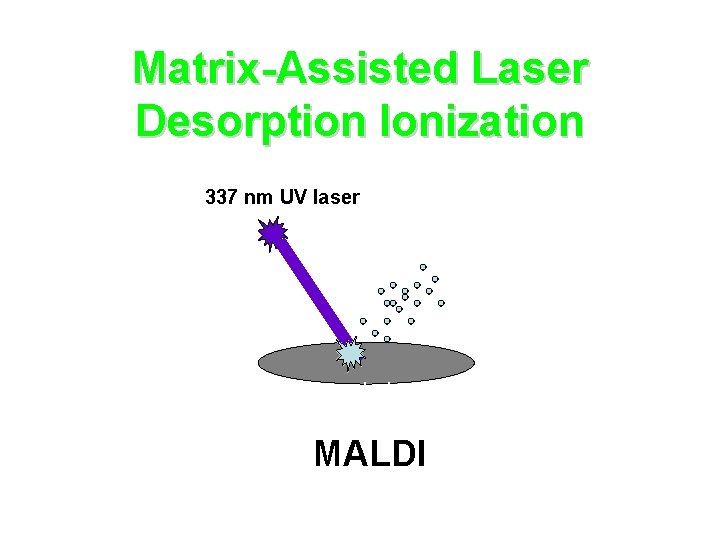 Matrix-Assisted Laser Desorption Ionization 337 nm UV laser cyano-hydroxy cinnamic acid MALDI 