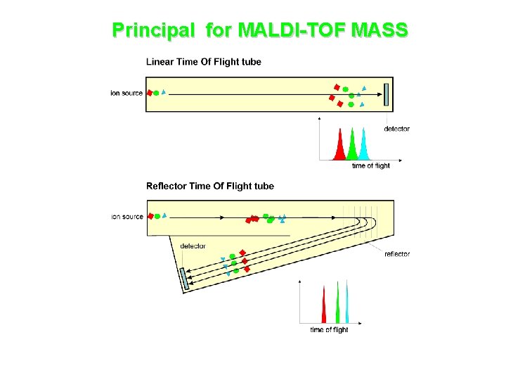 Principal for MALDI-TOF MASS 