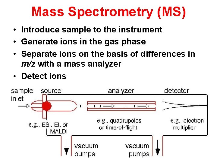 Mass Spectrometry (MS) • Introduce sample to the instrument • Generate ions in the