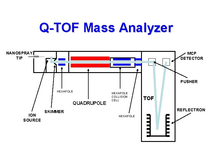 Q-TOF Mass Analyzer NANOSPRAY TIP MCP DETECTOR PUSHER HEXAPOLE QUADRUPOLE ION SOURCE HEXAPOLE COLLISION