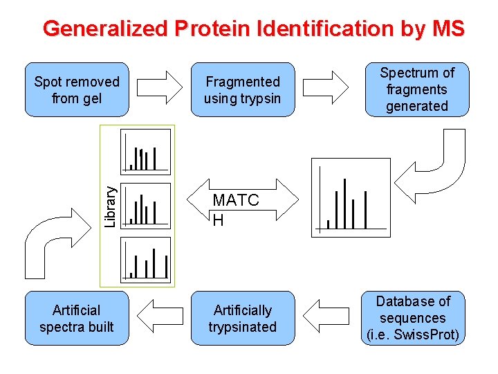 Generalized Protein Identification by MS Library Spot removed from gel Artificial spectra built Fragmented