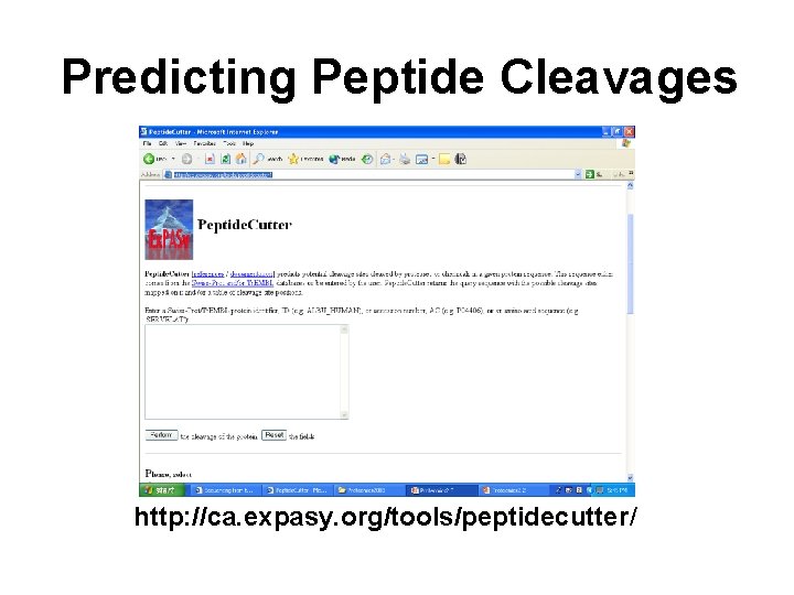 Predicting Peptide Cleavages http: //ca. expasy. org/tools/peptidecutter/ 