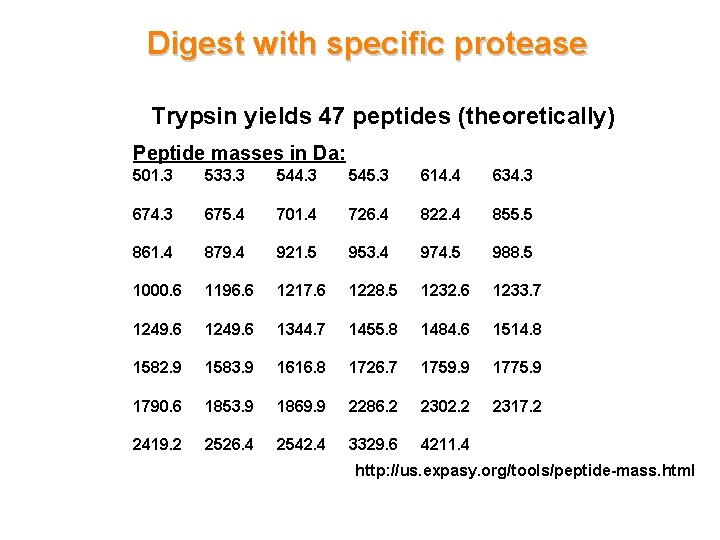 Digest with specific protease Trypsin yields 47 peptides (theoretically) Peptide masses in Da: 501.