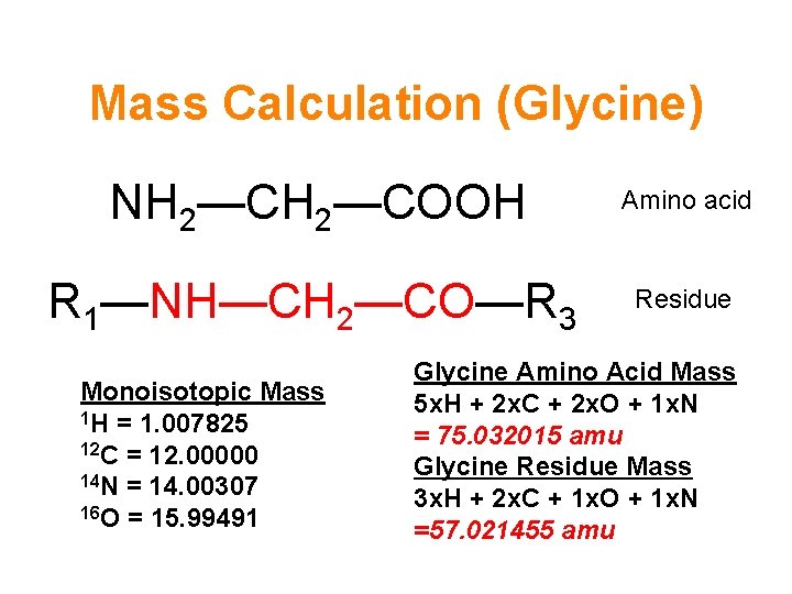 Mass Calculation (Glycine) NH 2—COOH Amino acid R 1—NH—CH 2—CO—R 3 Residue Monoisotopic Mass