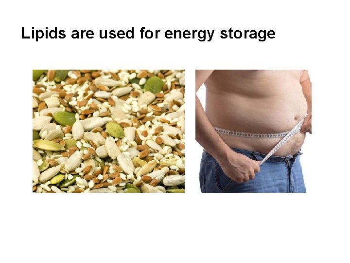 Lipids are used for energy storage 